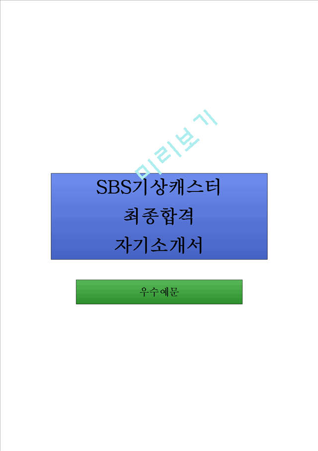 SBS기상캐스터 합격 자기소개서   (1 )